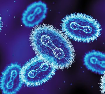 vaccine-reminder-as-mpox-strain-spreads-in-europe