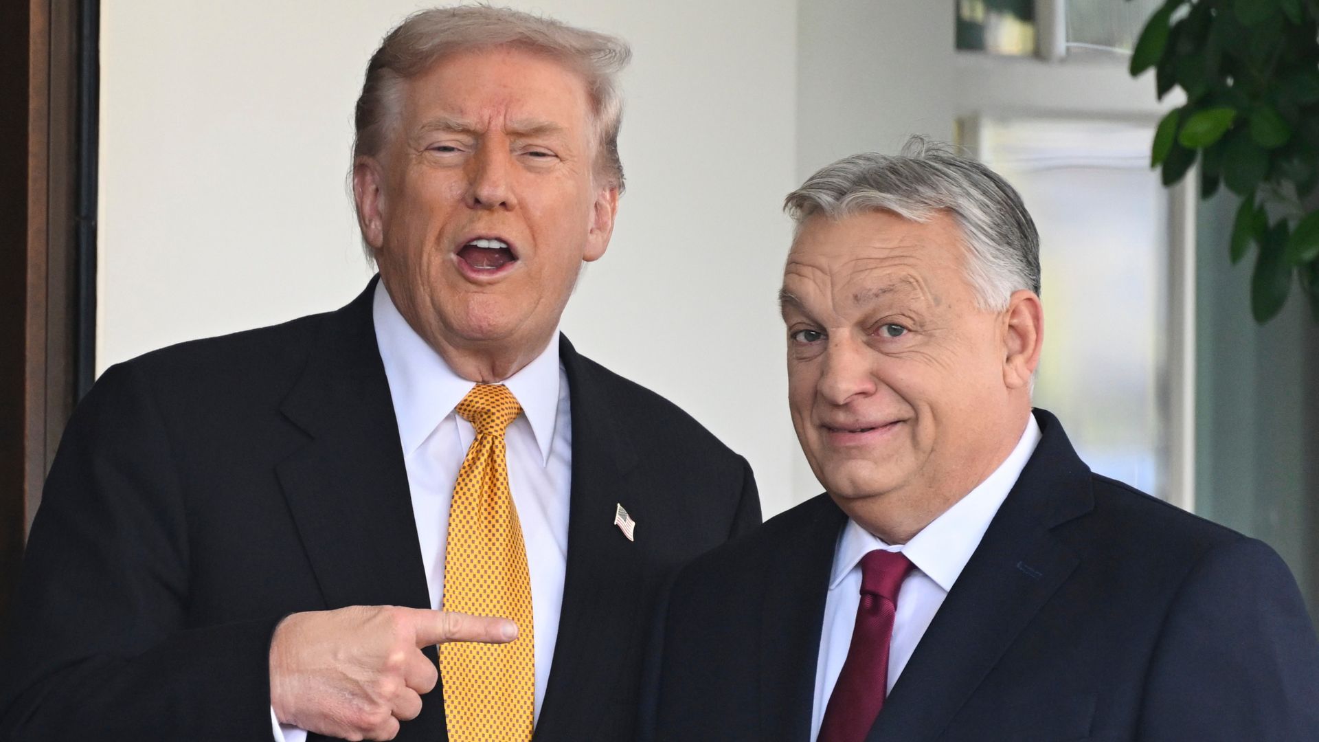 trump-exempts-hungary-from-us-sanctions-on-russian-energy-after-meeting-orban
