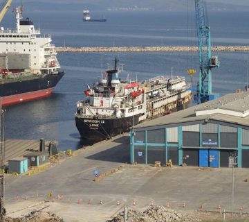 stranded-ship-carrying-nearly-3,000-cattle-now-at-sea-for-55-days