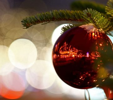 four-shot-at-christmas-tree-lighting-ceremony-in-the-us