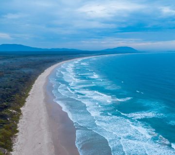 woman-killed-and-man-injured-in-shark-attack-at-popular-beach