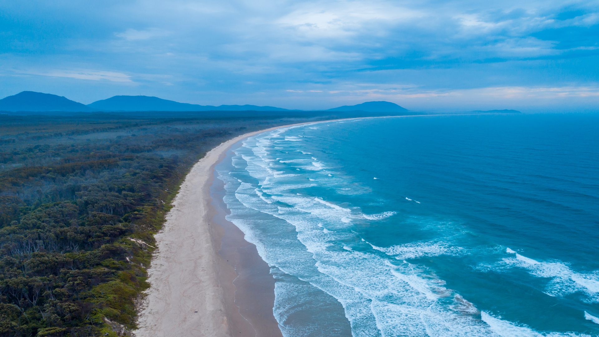 woman-killed-and-man-injured-in-shark-attack-at-popular-beach