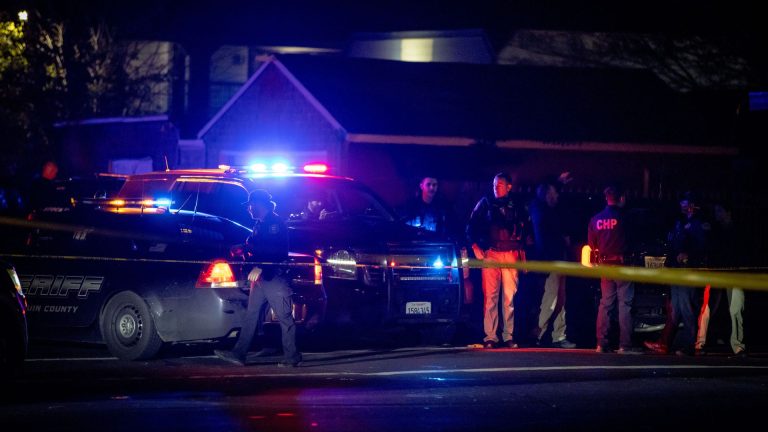 children-killed-in-mass-shooting-at-kids’-birthday-party-in-california